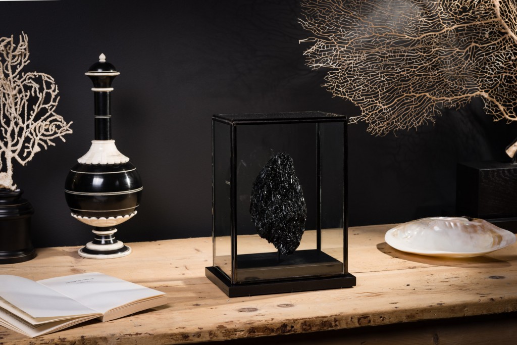 Objet de curiosité, visuels pour le catalogue