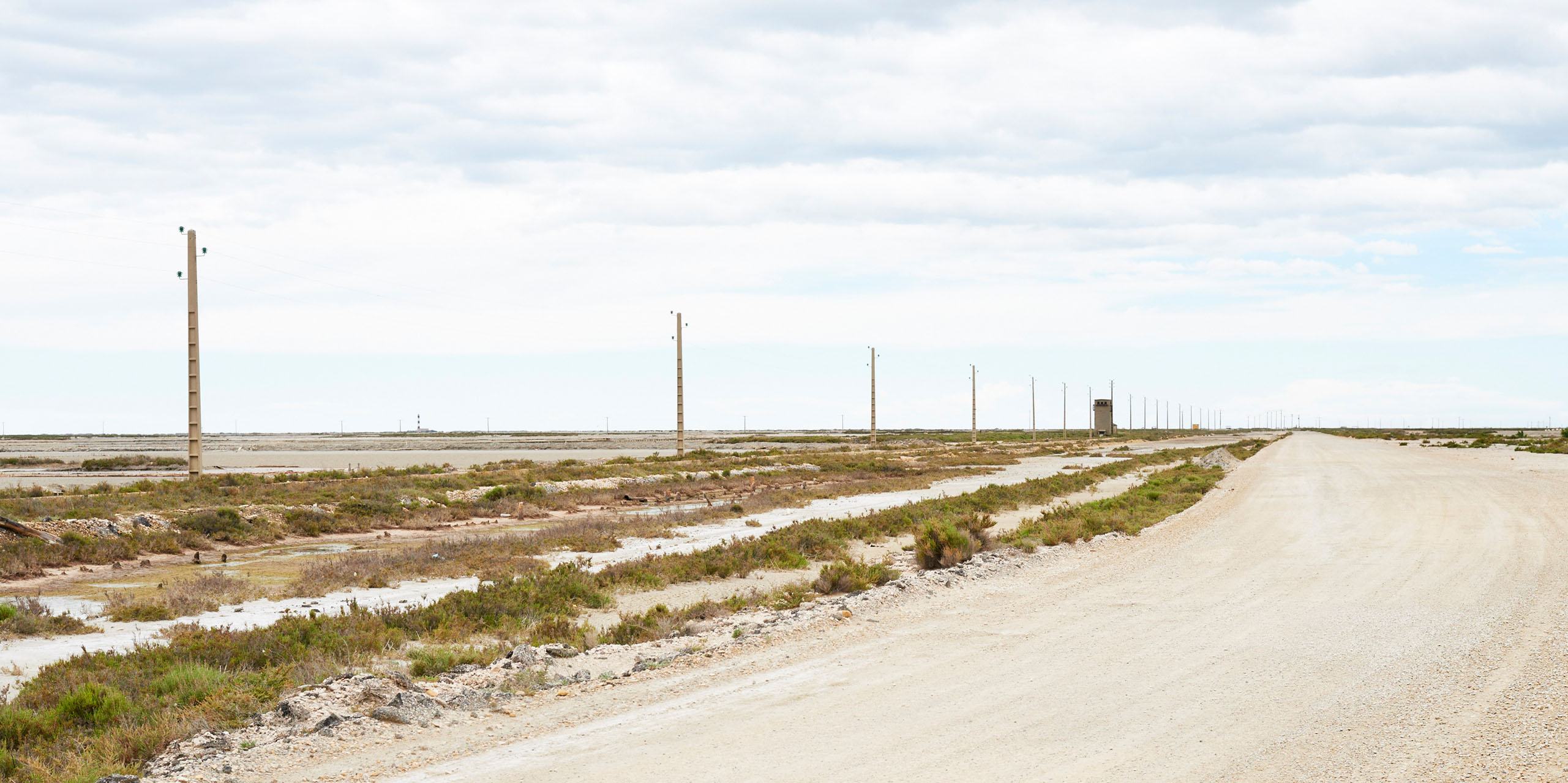 Marais salant - Arles - 2014