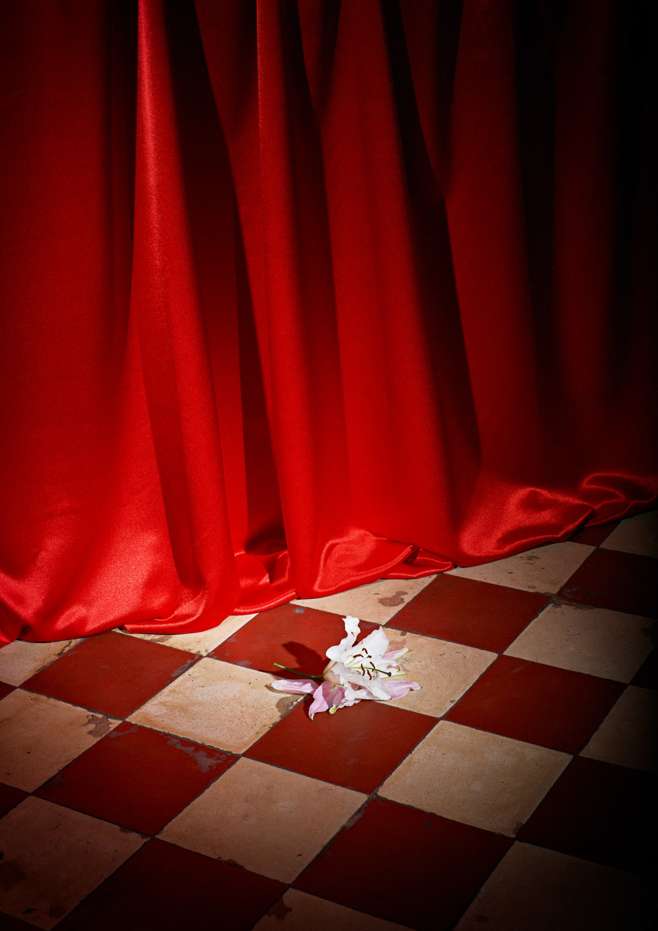 Early Fashion, album 4, 2011